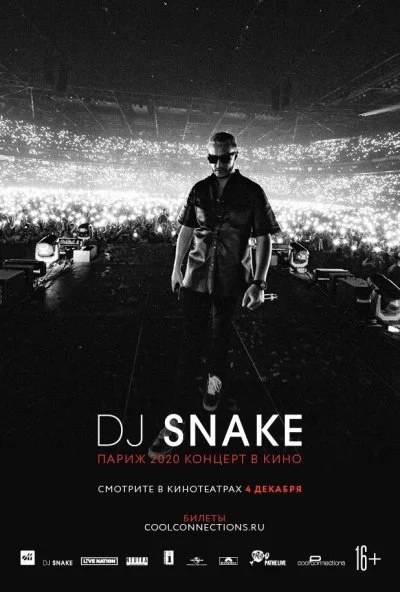 DJ SNAKE: Париж 2020. Концерт в кино (2020)