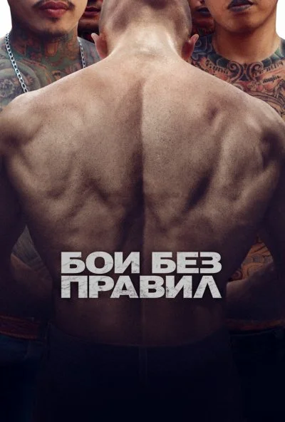 Бои без правил (2017) онлайн бесплатно